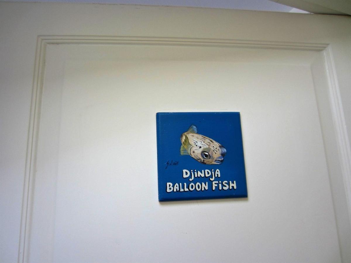 Den Laman - Balloonfish Playa Eksteriør billede